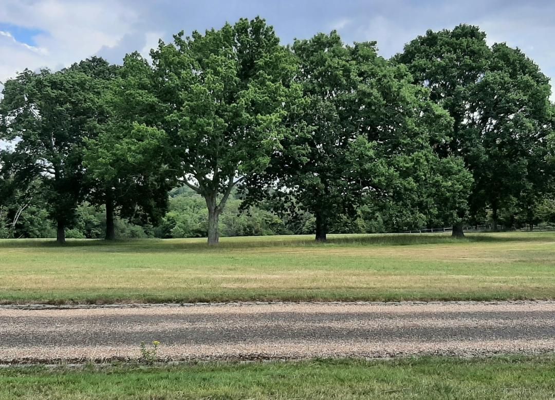 Colwell Farm